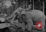 Image of elephants Burma, 1944, second 58 stock footage video 65675049258