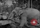 Image of elephants Burma, 1944, second 59 stock footage video 65675049258