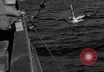 Standbild mine Marker Atlantik, 1943, aus Sekunde 27 historischem Filmmaterial Videoclip 65675049261