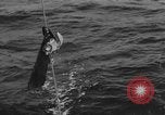 Standbild mine Marker Atlantik, 1943, aus Sekunde 30 historischem Filmmaterial Videoclip 65675049261