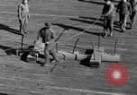 Image of US Coast Artillery mine planting operations  Delaware Bay United States USA, 1939, second 45 stock footage video 65675049266