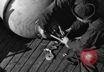 Image of Operations aboard a US Coast Artillery Mine Planter vessel Delaware Bay United States USA, 1939, second 50 stock footage video 65675049267