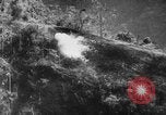 Image des soldats alliés théâtre du Pacifique, 1944, de la seconde 41 séquences d'archives historiques vidéo 65675049271
