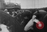 Standbild mine Verlegung Nordsee, 1944, aus Sekunde 13 historischem Filmmaterial Videoclip 65675049281