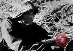 Image of Russian prisoners under German guard European Theater, 1944, second 3 stock footage video 65675049282