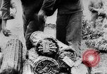 Image of Russian prisoners under German guard European Theater, 1944, second 11 stock footage video 65675049282