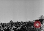 Image of Russian prisoners under German guard European Theater, 1944, second 44 stock footage video 65675049282
