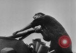Image of German reconnaissance plane Russia, 1943, second 43 stock footage video 65675049283