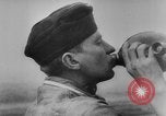 Image of German reconnaissance plane Russia, 1943, second 59 stock footage video 65675049283