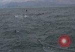 Image of USS Phoebe (MSC-199) Pacific Ocean, 1968, second 14 stock footage video 65675049330
