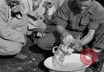 Standbild alliierten Soldaten Caiazzo Italien, 1943, aus Sekunde 27 historischem Filmmaterial Videoclip 65675049346