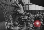 Image of D-Day and after invasion scenes World War 2 France, 1944, second 41 stock footage video 65675049350