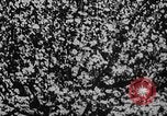 Immagine di Esercito sovietico soldati Unione Sovietica, 1945, secondo 20 filmato di repertorio 65675049396