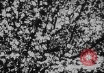 Immagine di Esercito sovietico soldati Unione Sovietica, 1945, secondo 21 filmato di repertorio 65675049396
