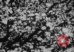 Immagine di Esercito sovietico soldati Unione Sovietica, 1945, secondo 23 filmato di repertorio 65675049396