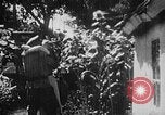 Immagine di Esercito sovietico soldati Unione Sovietica, 1945, secondo 61 filmato di repertorio 65675049396