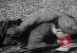 Image of Soviet Red Army soldier Soviet Union, 1945, second 13 stock footage video 65675049403