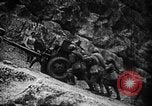 Image of Soviet Red Army Soviet Union, 1945, second 29 stock footage video 65675049405