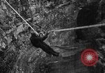 Image of Soviet Red Army Soviet Union, 1945, second 41 stock footage video 65675049405