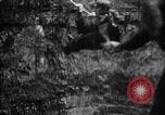 Image of Soviet Red Army Soviet Union, 1945, second 48 stock footage video 65675049405