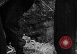Image of Soviet Red Army Soviet Union, 1945, second 52 stock footage video 65675049405