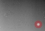 Image of United States P-40 aircraft European Theater, 1944, second 38 stock footage video 65675049409