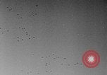 Image of United States P-40 aircraft European Theater, 1944, second 39 stock footage video 65675049409