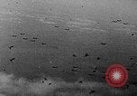 Image of United States P-40 aircraft European Theater, 1944, second 52 stock footage video 65675049409