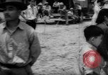Image of Nisei California United States USA, 1943, second 22 stock footage video 65675049421