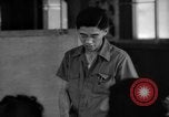 Image of Nisei California United States USA, 1943, second 37 stock footage video 65675049421