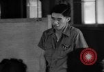 Image of Nisei California United States USA, 1943, second 38 stock footage video 65675049421