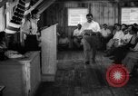 Image of Nisei California United States USA, 1943, second 50 stock footage video 65675049421