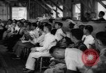 Image of Nisei California United States USA, 1943, second 60 stock footage video 65675049421