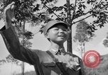Immagine di Donne soldato Il cantone di Cina, 1938, secondo 61 filmato di repertorio 65675049423