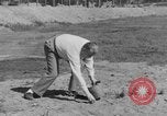 Immagine di Francesco Ormond francese Aliston Massachusetts USA, 1938, secondo 20 filmato di repertorio 65675049425