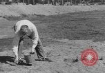 Immagine di Francesco Ormond francese Aliston Massachusetts USA, 1938, secondo 21 filmato di repertorio 65675049425