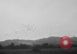 Image National Race Pigeon Marietta Ohio USA, 1938, de la seconde 31 séquences d'archives historiques vidéo 65675049432