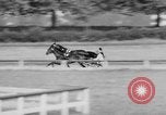 Image course de trot Goshen New York USA, 1938, de la seconde 33 séquences d'archives historiques vidéo 65675049433