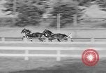 Image course de trot Goshen New York USA, 1938, de la seconde 37 séquences d'archives historiques vidéo 65675049433