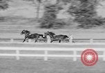 Image course de trot Goshen New York USA, 1938, de la seconde 38 séquences d'archives historiques vidéo 65675049433