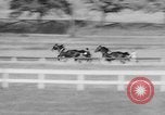 Image course de trot Goshen New York USA, 1938, de la seconde 39 séquences d'archives historiques vidéo 65675049433