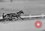 Image course de trot Goshen New York USA, 1938, de la seconde 49 séquences d'archives historiques vidéo 65675049433