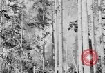 Image feu de forêt Olympic Peninsula Washington USA, 1938, de la seconde 8 séquences d'archives historiques vidéo 65675049442