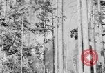 Image feu de forêt Olympic Peninsula Washington USA, 1938, de la seconde 9 séquences d'archives historiques vidéo 65675049442