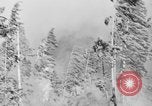 Image feu de forêt Olympic Peninsula Washington USA, 1938, de la seconde 10 séquences d'archives historiques vidéo 65675049442