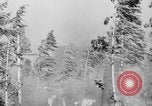 Image feu de forêt Olympic Peninsula Washington USA, 1938, de la seconde 11 séquences d'archives historiques vidéo 65675049442