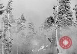 Image feu de forêt Olympic Peninsula Washington USA, 1938, de la seconde 12 séquences d'archives historiques vidéo 65675049442