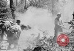 Image feu de forêt Olympic Peninsula Washington USA, 1938, de la seconde 16 séquences d'archives historiques vidéo 65675049442