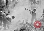 Image feu de forêt Olympic Peninsula Washington USA, 1938, de la seconde 17 séquences d'archives historiques vidéo 65675049442