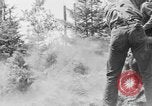 Image feu de forêt Olympic Peninsula Washington USA, 1938, de la seconde 18 séquences d'archives historiques vidéo 65675049442